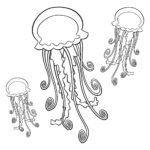 Медуза картинки раскраски (39)