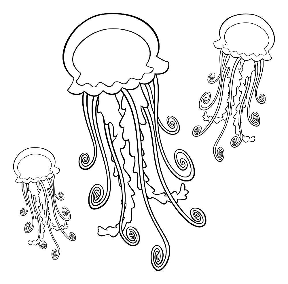 Медуза картинки раскраски (39)
