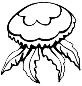 Медуза картинки раскраски (4)