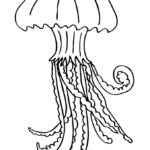 Медуза картинки раскраски (41)