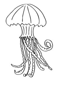 Медуза картинки раскраски (41)