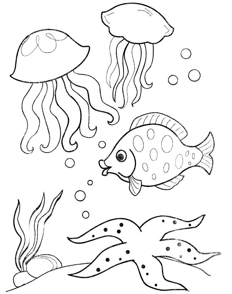 Медуза картинки раскраски (43)