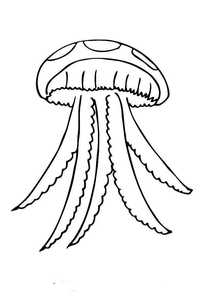 Медуза картинки раскраски (5)