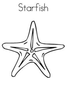 Морская звезда картинки раскраски (16)