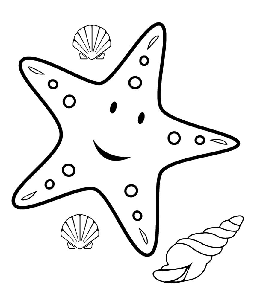 Морская звезда картинки раскраски (19)