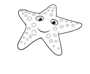 Морская звезда картинки раскраски (24)