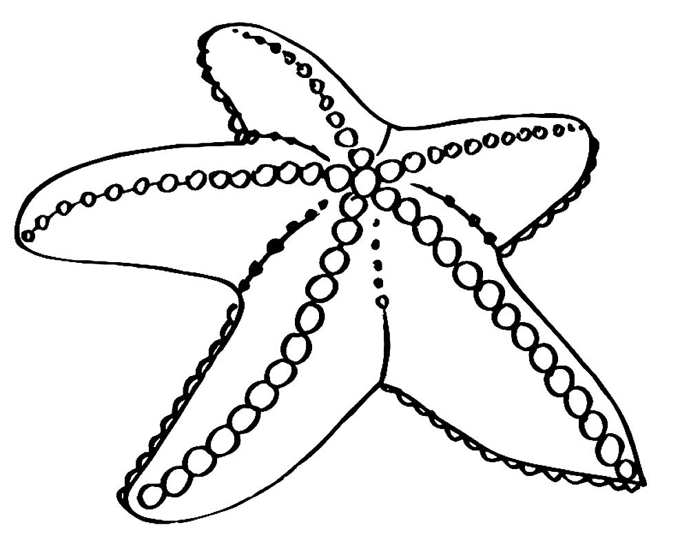 Морская звезда картинки раскраски (26)