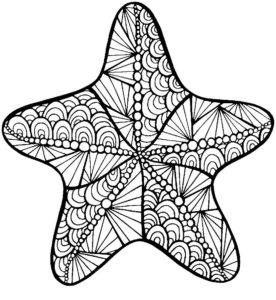 Морская звезда картинки раскраски (27)