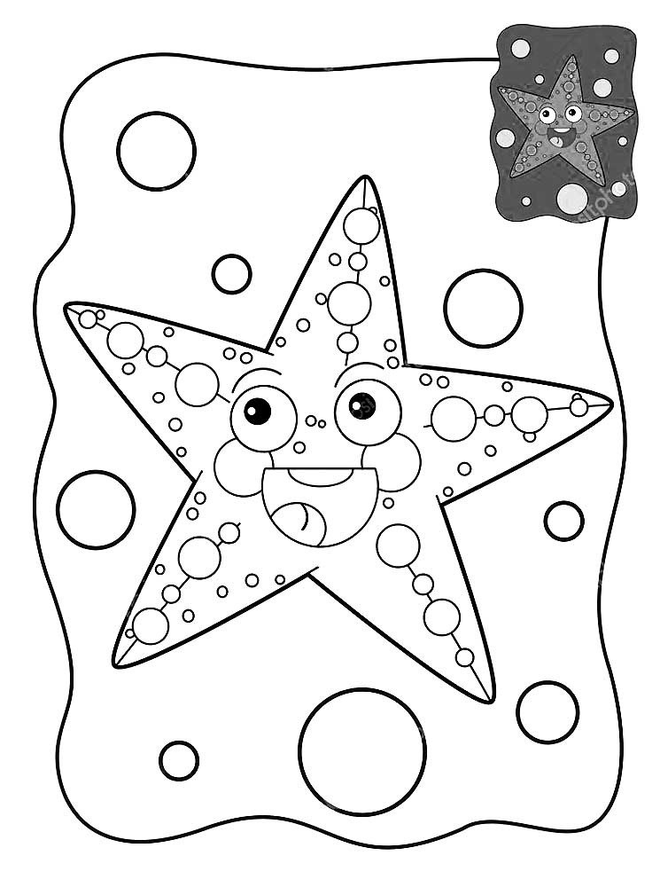 Морская звезда картинки раскраски (7)
