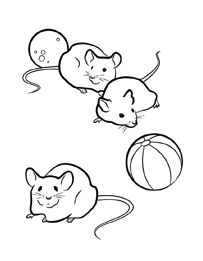 Мышонок картинки раскраски (11)