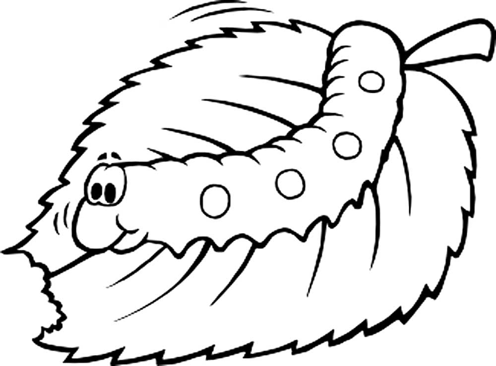 Насекомые гусеница картинки раскраски (5)