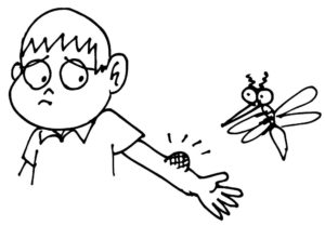 Насекомые комар картинки раскраски (17)