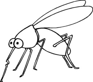 Насекомые комар картинки раскраски (18)