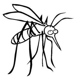 Насекомые комар картинки раскраски (21)