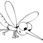 Насекомые комар картинки раскраски (35)