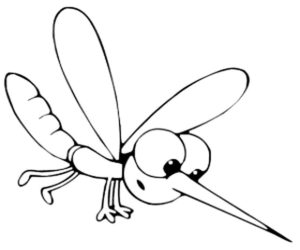 Насекомые комар картинки раскраски (35)