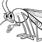Насекомые комар картинки раскраски (39)