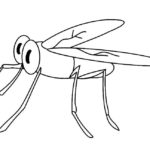 Насекомые комар картинки раскраски (40)