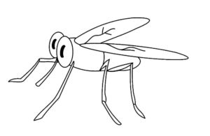 Насекомые комар картинки раскраски (40)