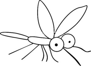 Насекомые комар картинки раскраски (42)