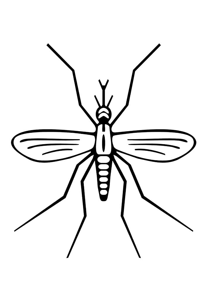 Насекомые комар картинки раскраски (7)