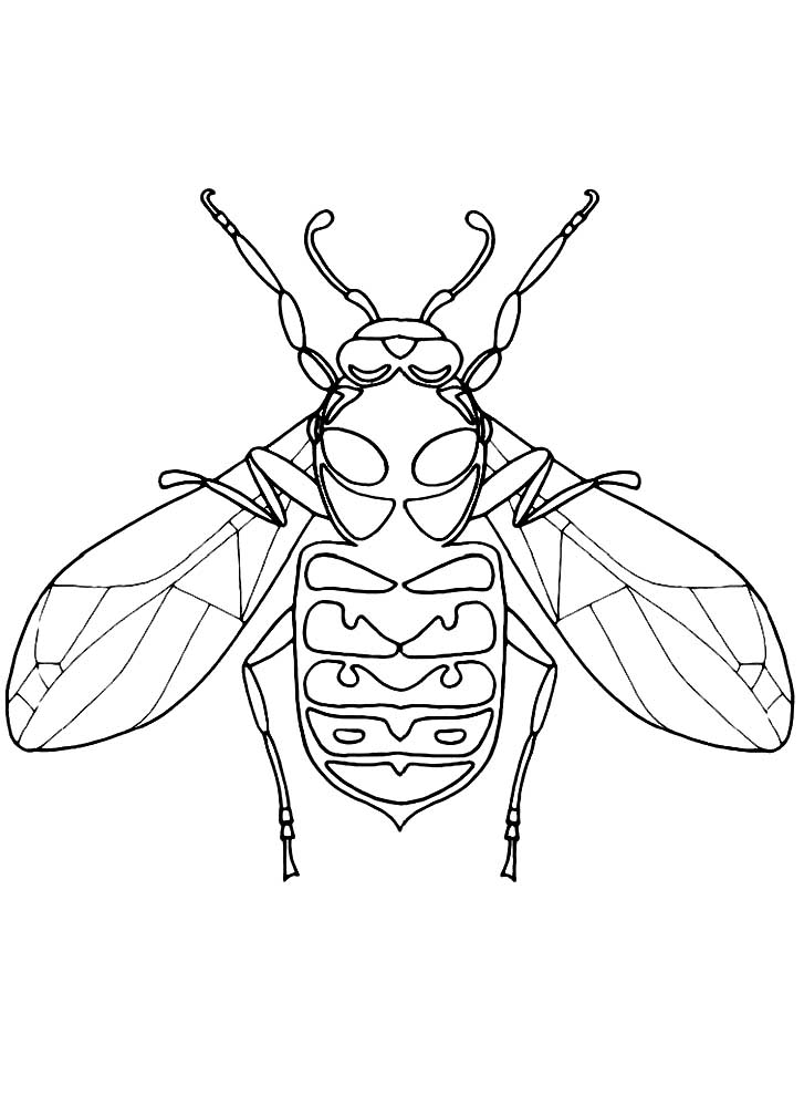 Насекомые муха картинки раскраски (1)