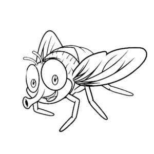 Насекомые муха картинки раскраски (30)