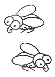 Насекомые муха картинки раскраски (32)