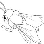 Насекомые муха картинки раскраски (53)