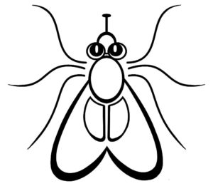 Насекомые муха картинки раскраски (6)