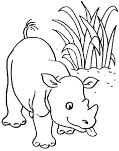 Носорог картинки раскраски (1)