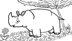 Носорог картинки раскраски (17)