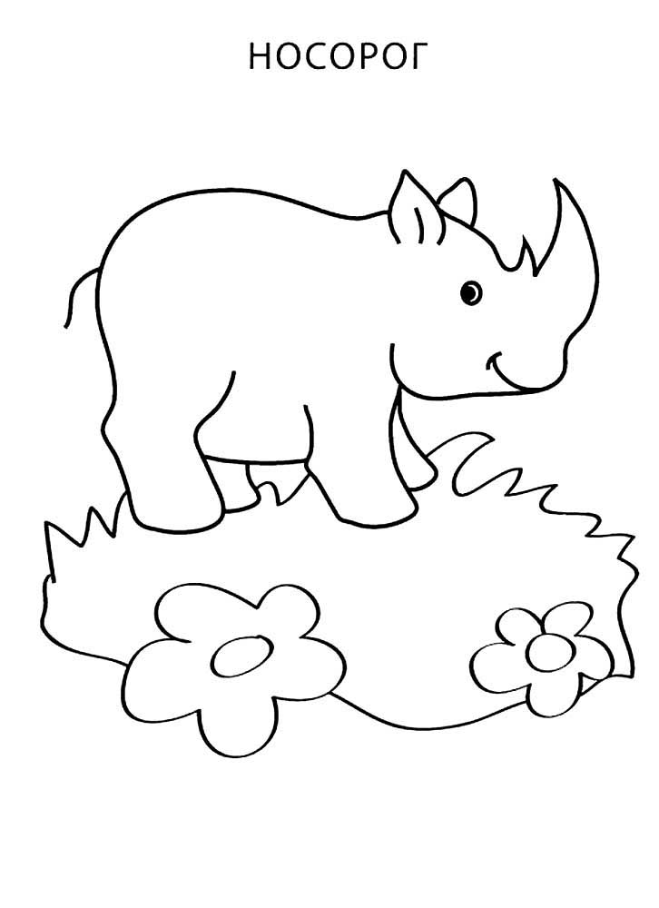 Носорог картинки раскраски (18)