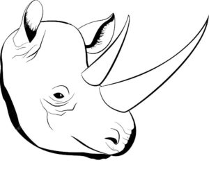 Носорог картинки раскраски (22)