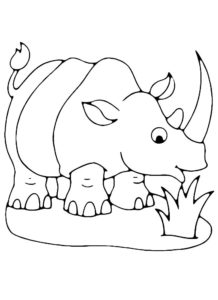 Носорог картинки раскраски (23)