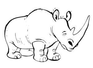 Носорог картинки раскраски (24)