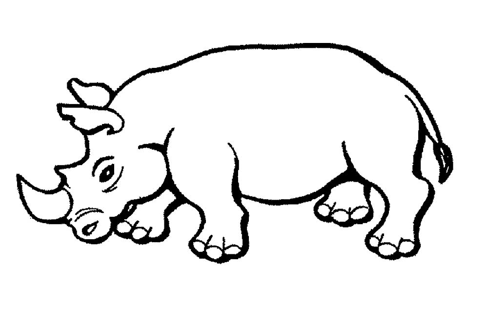 Носорог картинки раскраски (34)