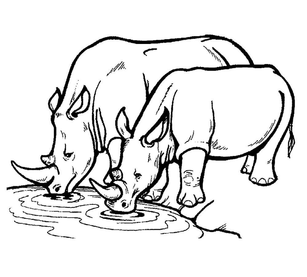 Носорог картинки раскраски (36)