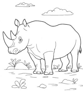Носорог картинки раскраски (4)