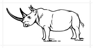 Носорог картинки раскраски (43)