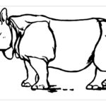 Носорог картинки раскраски (44)