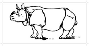 Носорог картинки раскраски (44)