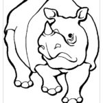 Носорог картинки раскраски (45)