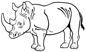 Носорог картинки раскраски (49)