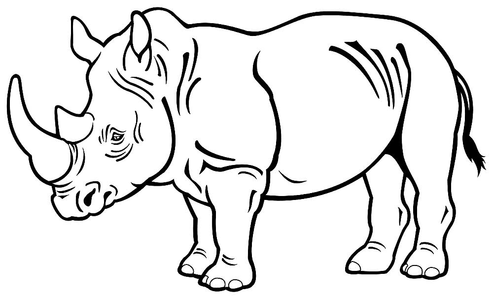 Носорог картинки раскраски (49)