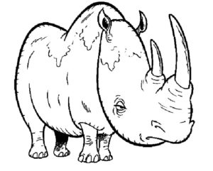 Носорог картинки раскраски (5)