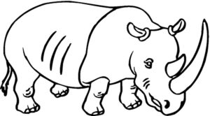 Носорог картинки раскраски (52)