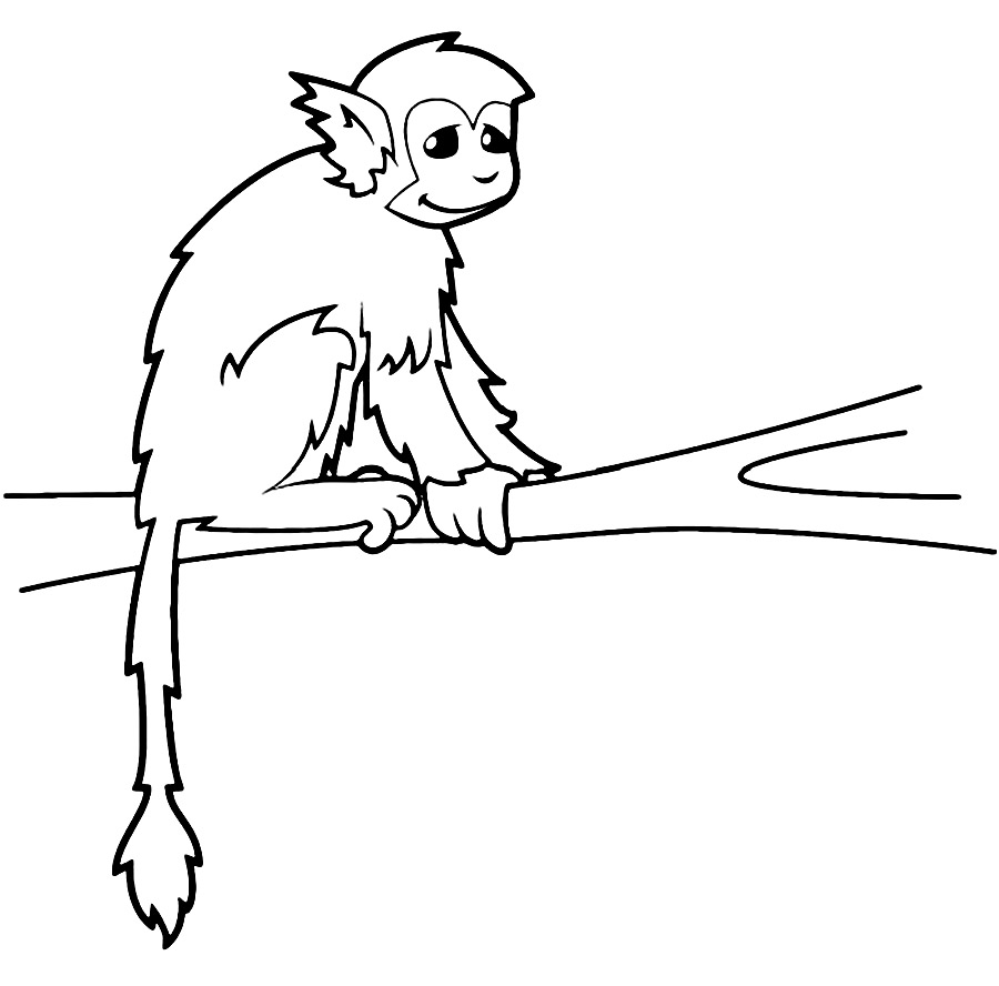 Про обезьянку Житков раскраска