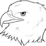 Орел картинки раскраски (39)