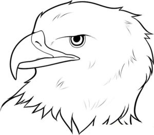 Орел картинки раскраски (39)